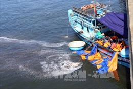 Quy định về quản lý hoạt động nhận chìm ở biển của Việt Nam 